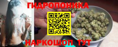 сатива Чебоксары