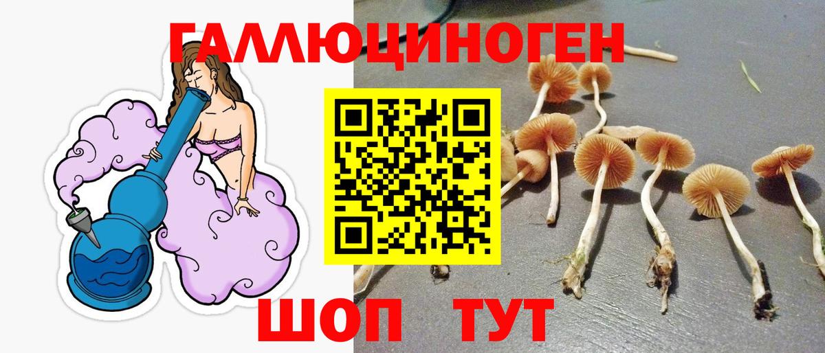 Галлюциногенные грибы прущие грибы  Вход с VPN  Галлюциногенные грибы мицелий  Златоуст 
