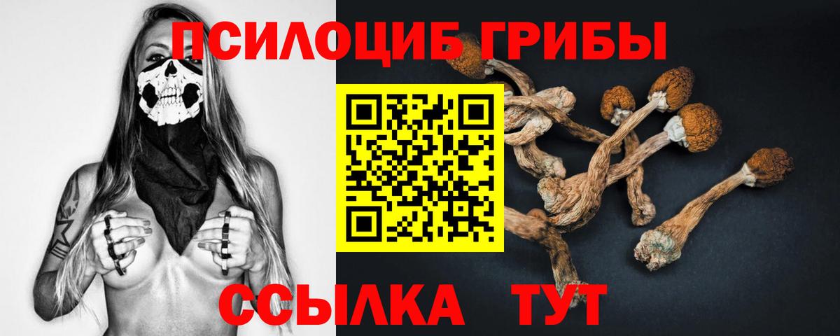 Псилоцибиновые грибы ЛСД Златоуст